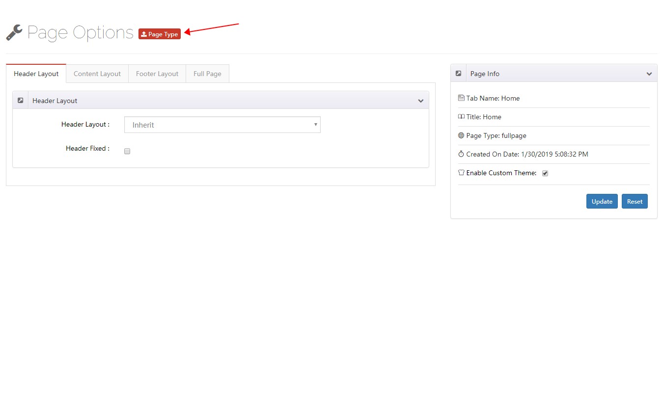 The Page Type button