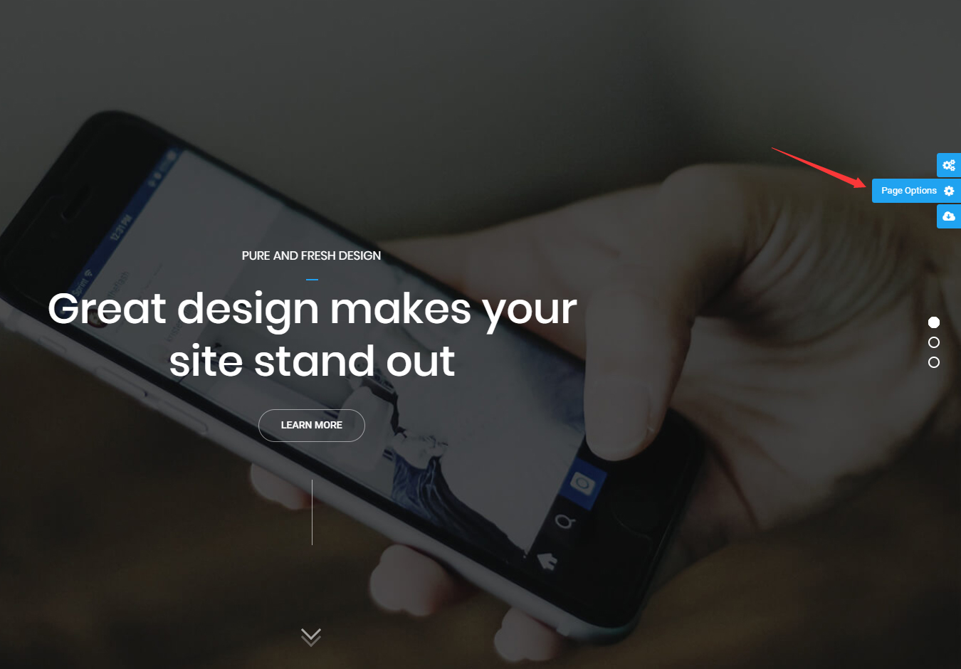 The Page Option icon