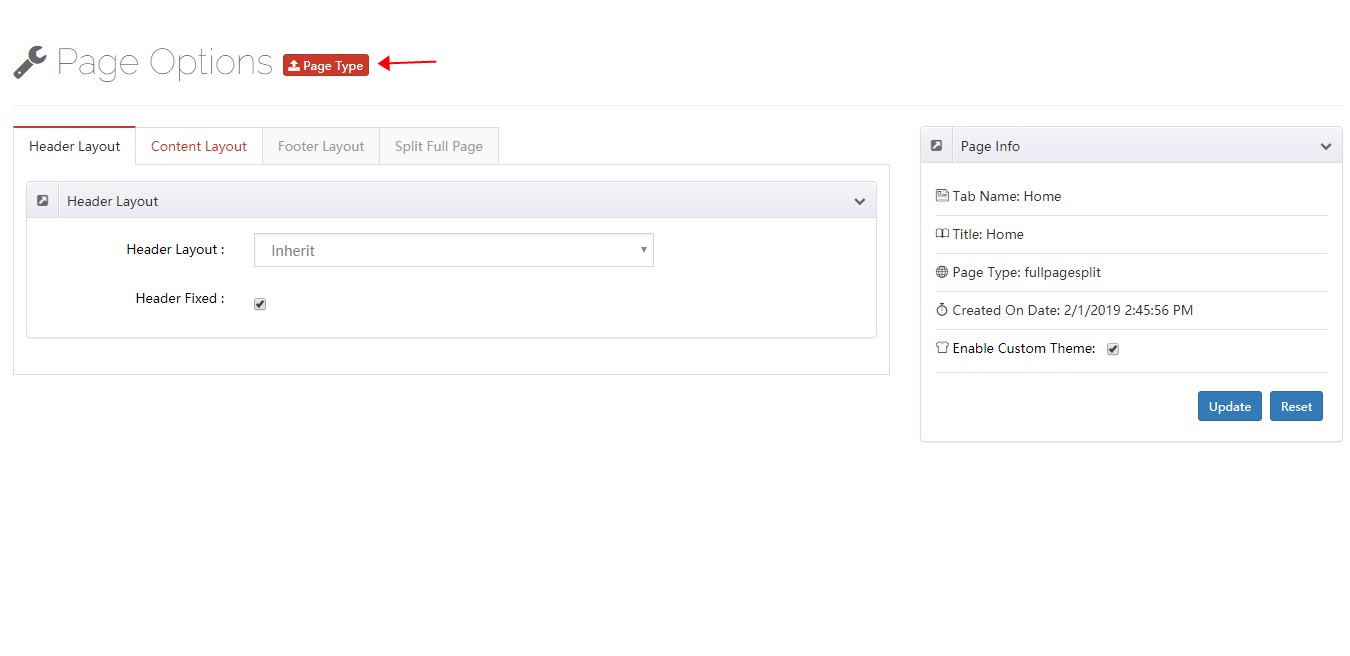 The Page Type button