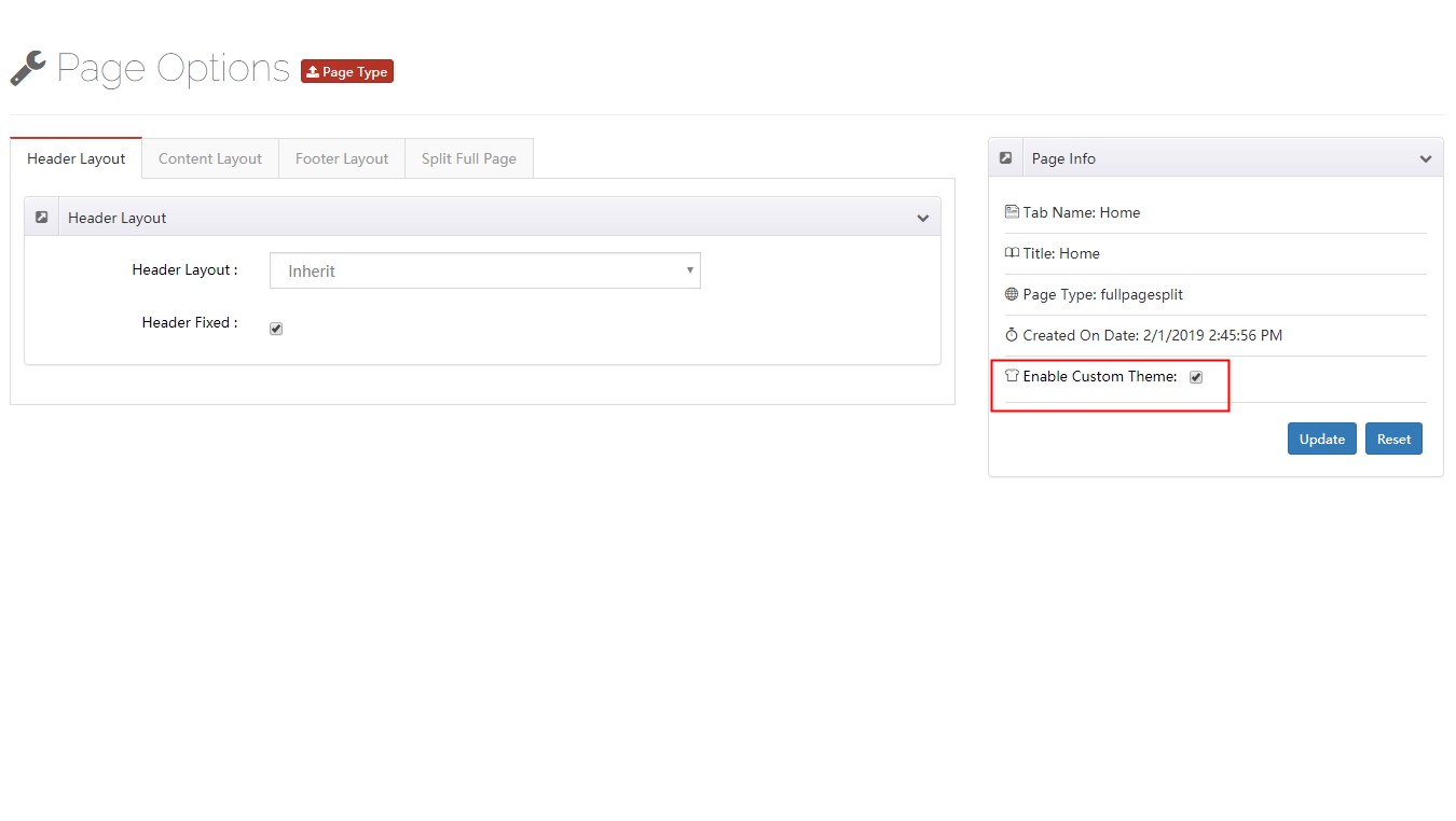 Enable Custom Theme