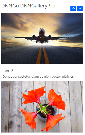 Effect 16 VerticalScroll form