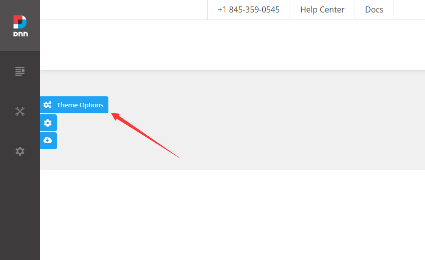 Theme Option button