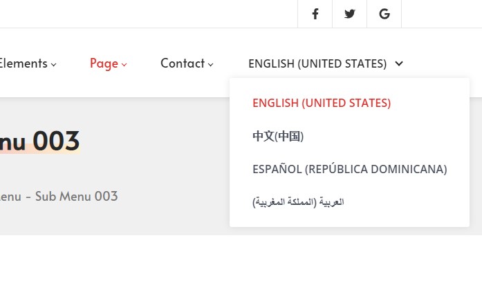 Language display types