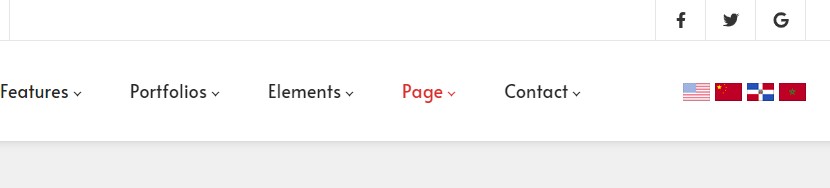 Language display types