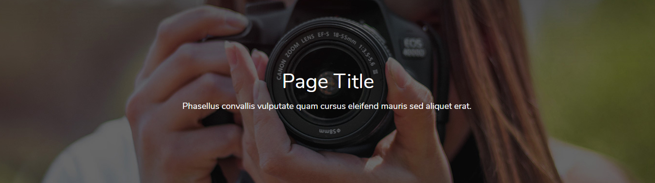 Vertical Layout