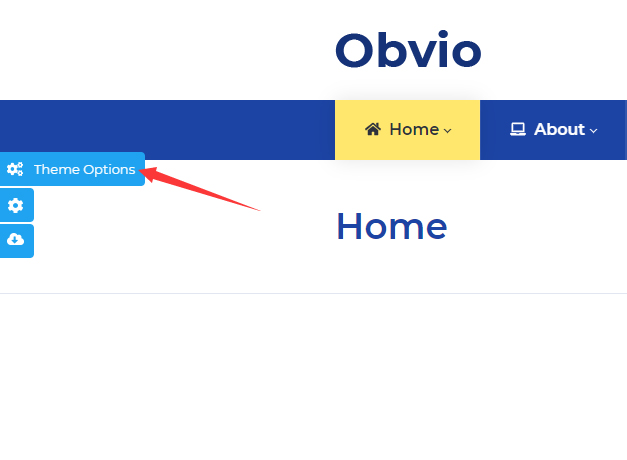 Theme Option button