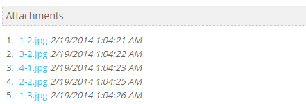 Attachment downloads on the detail page